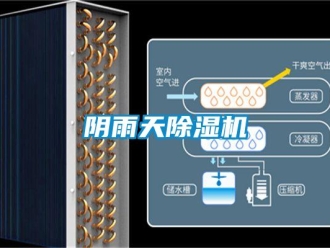 知识百科阴雨天除湿机