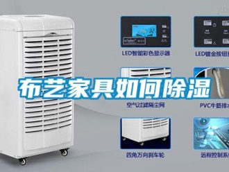 常见问题布艺家具如何除湿