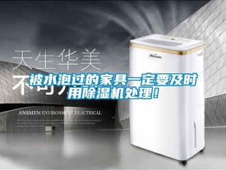 企业新闻被水泡过的家具一定要及时用除湿机处理！