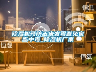 企业新闻除湿机预防玉米发霉避免家畜中毒_除湿机厂家