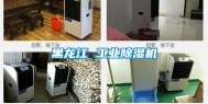 黑龙江 工业除湿机