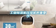 工业除湿机压缩机的重要性