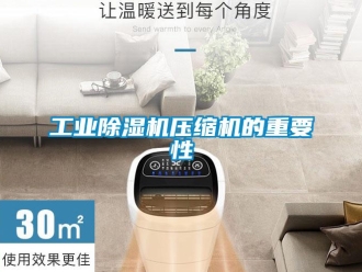 企业新闻工业除湿机压缩机的重要性