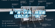 面“潮”大海，除湿机让你万无一“湿”