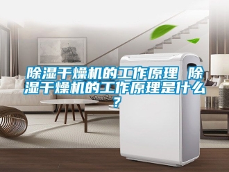 企业新闻除湿干燥机的工作原理 除湿干燥机的工作原理是什么？