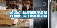 抽湿机_抽湿机那个品牌好图片_浙江临海抽湿机