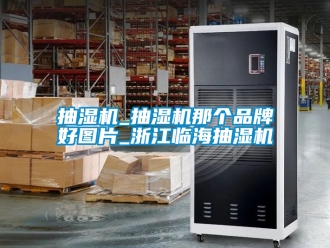 企业新闻抽湿机_抽湿机那个品牌好图片_浙江临海抽湿机