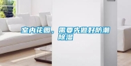室内花园，需要先做好防潮除湿