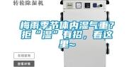 梅雨季节体内湿气重？拒“湿”有招，看这里~