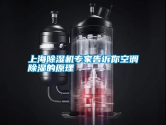 知识百科上海除湿机专家告诉你空调除湿的原理