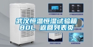 武汉恒温恒湿试验箱80L 返回列表页
