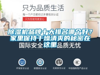 企业新闻除湿机品牌十大排名哪个好？家里保持干燥清爽的秘密在这里