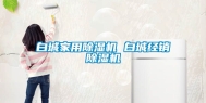 白城家用除湿机 白城经销除湿机