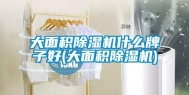 大面积除湿机什么牌子好(大面积除湿机)
