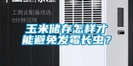 玉米储存怎样才能避免发霉长虫？