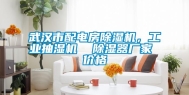 武汉市配电房除湿机，工业抽湿机  除湿器厂家 价格