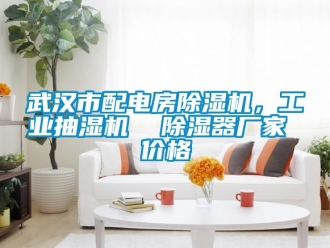 企业新闻武汉市配电房除湿机，工业抽湿机  除湿器厂家 价格