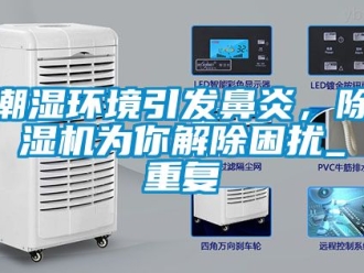企业新闻潮湿环境引发鼻炎，除湿机为你解除困扰_重复
