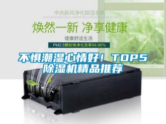 企业新闻不惧潮湿心情好！TOP5除湿机精品推荐