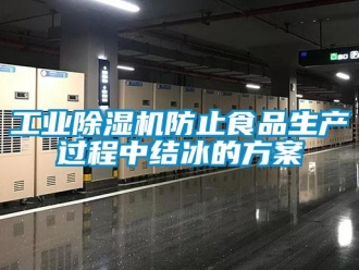 企业新闻工业除湿机防止食品生产过程中结冰的方案