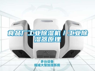 常见问题食品厂工业除湿机／工业除湿器原理