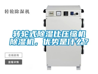 常见问题转轮式除湿比压缩机除湿机，优势是什么？
