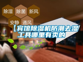 企业新闻【宾馆除湿机防潮去湿工具哪里有卖的