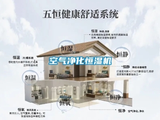 知识百科空气净化恒湿机