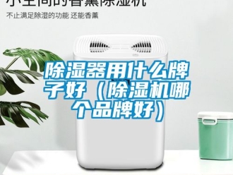 企业新闻除湿器用什么牌子好（除湿机哪个品牌好）