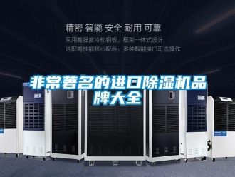 企业新闻非常著名的进口除湿机品牌大全