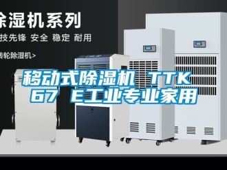 常见问题移动式除湿机 TTK 67 E工业专业家用
