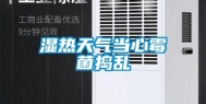 湿热天气当心霉菌捣乱