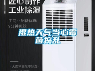 知识百科湿热天气当心霉菌捣乱