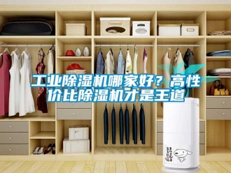 企业新闻工业除湿机哪家好？高性价比除湿机才是王道