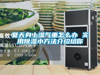企业新闻夏天身上湿气重怎么办 实用除湿小方法介绍给你