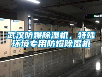 企业新闻武汉防爆除湿机，特殊环境专用防爆除湿机