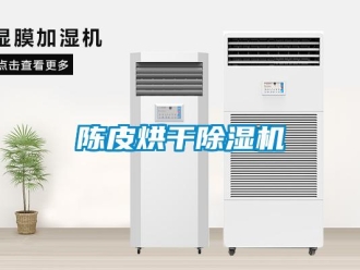 企业新闻陈皮烘干除湿机