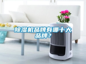 企业新闻除湿机品牌有哪十大品牌？