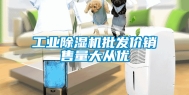 工业除湿机批发价销售量大从优