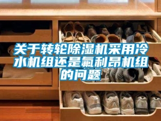 常见问题关于转轮除湿机采用冷水机组还是氟利昂机组的问题