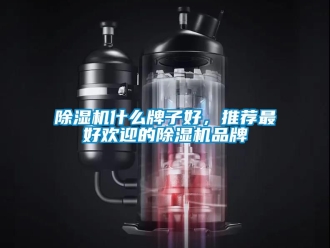 企业新闻除湿机什么牌子好，推荐最好欢迎的除湿机品牌