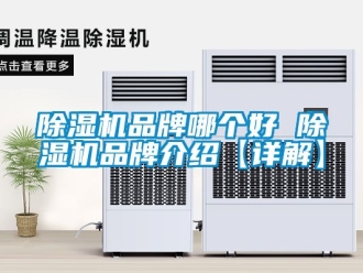 企业新闻除湿机品牌哪个好 除湿机品牌介绍【详解】