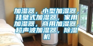加湿器，小型加湿器，挂壁式加湿器，家用加湿器，商用加湿器，超声波加湿器，除湿机