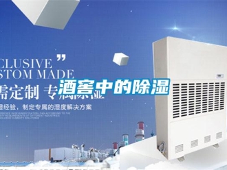 行业新闻酒窖中的除湿