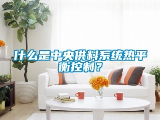 知识百科什么是中央供料系统热平衡控制？