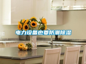 企业新闻电力设备也要防潮除湿