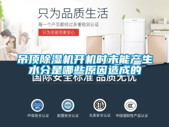 行业新闻吊顶除湿机开机时未能产生水分是哪些原因造成的