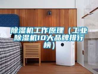 常见问题除湿机工作原理（工业除湿机10大品牌排行榜）