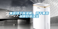 果蔬烘干除湿机，烘干果蔬品质好色泽佳