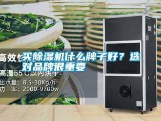 行业新闻买除湿机什么牌子好？选对品牌很重要